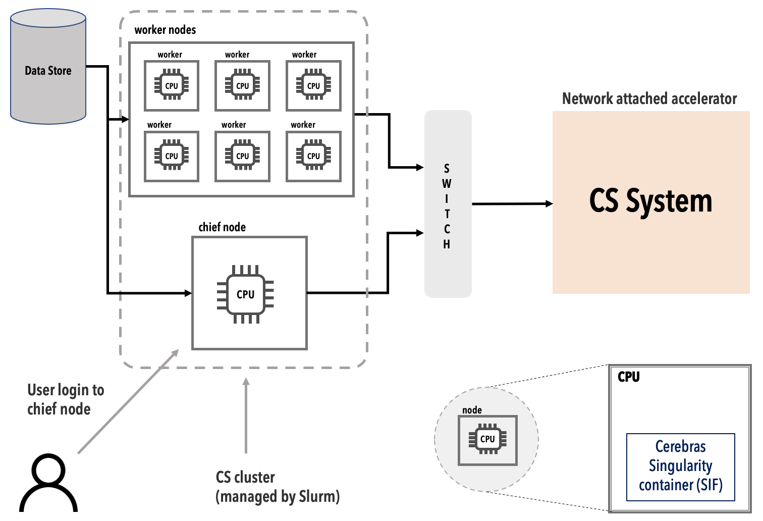 CS-2 cluster figure