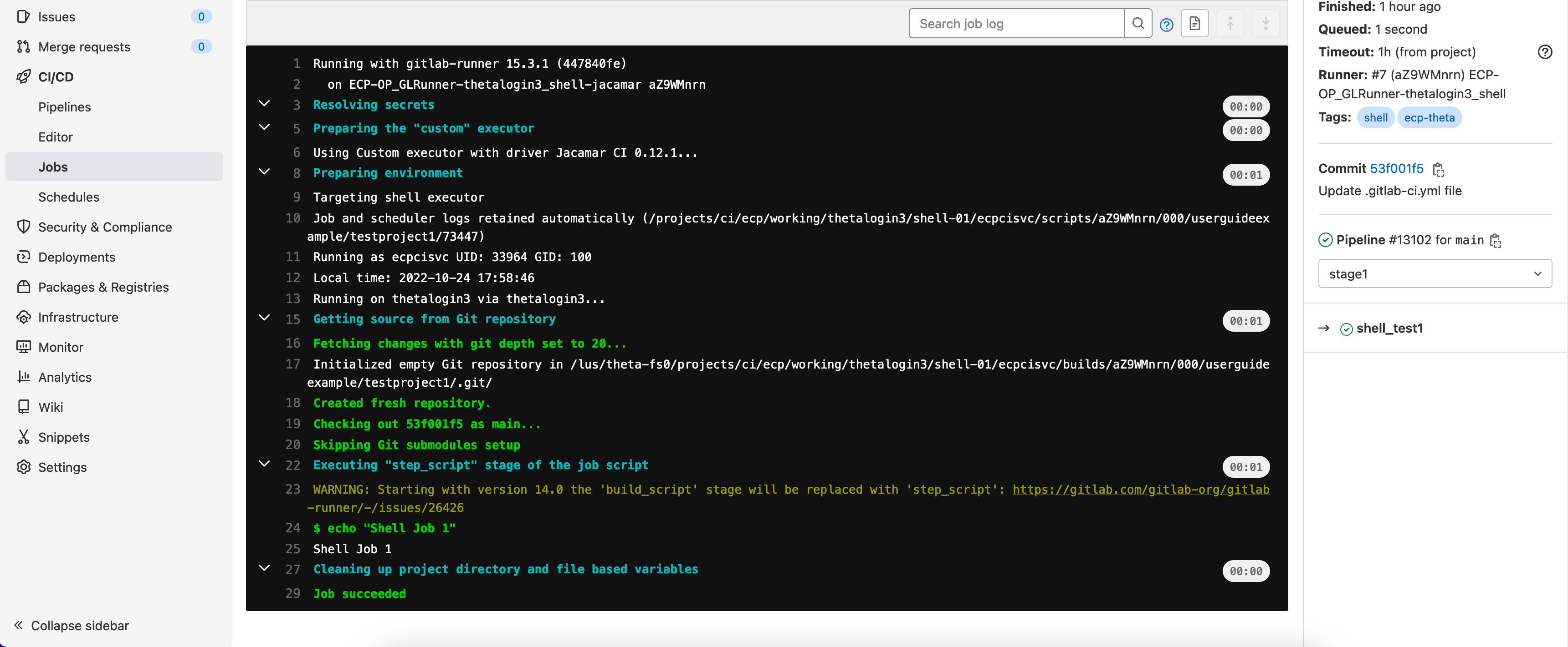 GitLab CI/CD Job Console