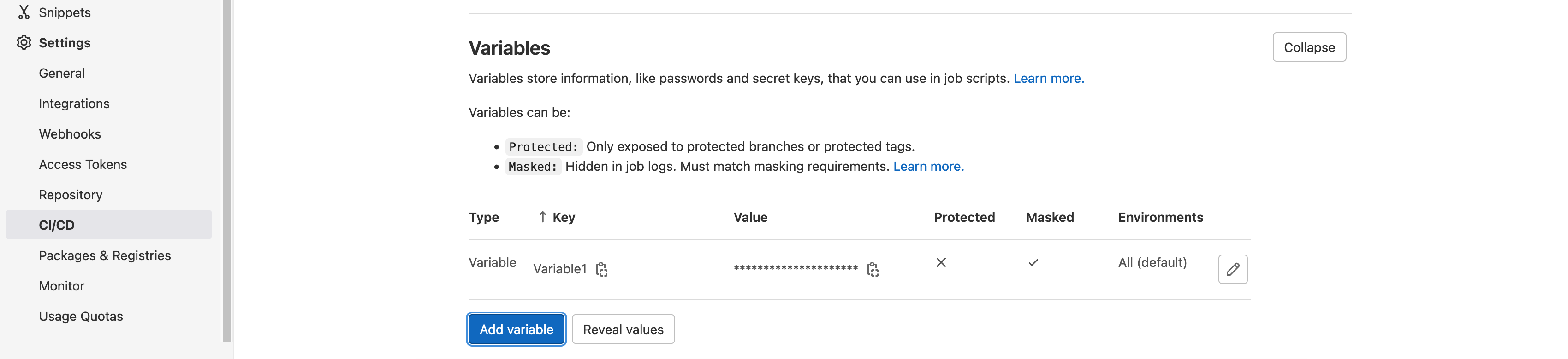 GitLab CI/CD Variable settings